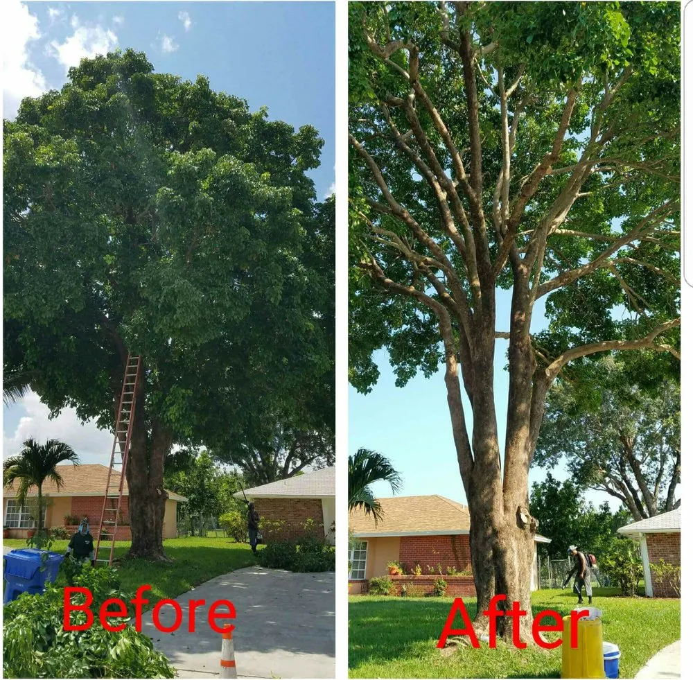 Local landscape installation for residential properties across Loxahatchee, FL - Robert's Tree Works
