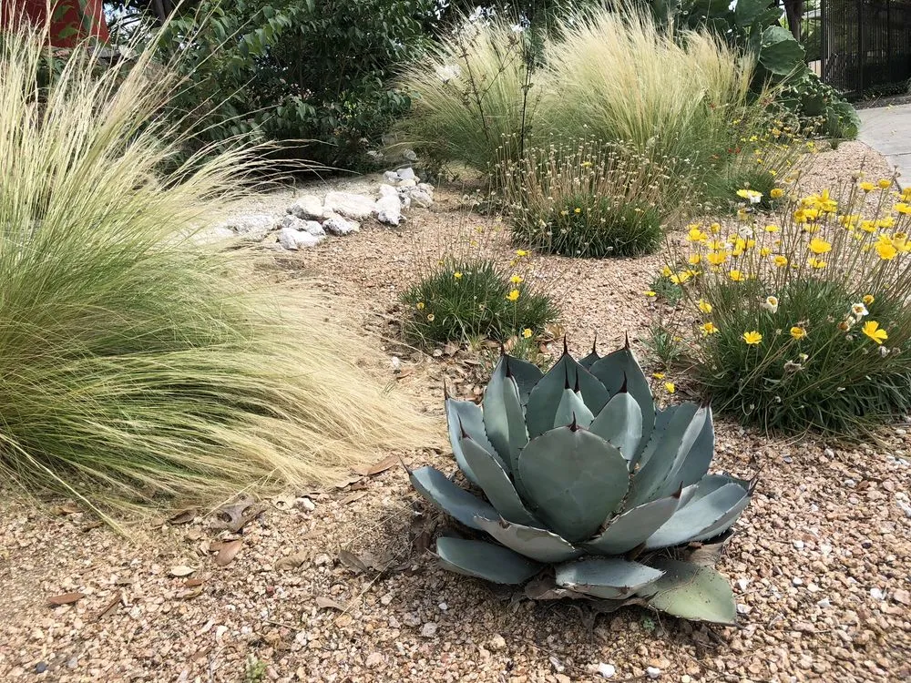 Professional landscape installation for residential properties in Luling, TX by Robertson Farms