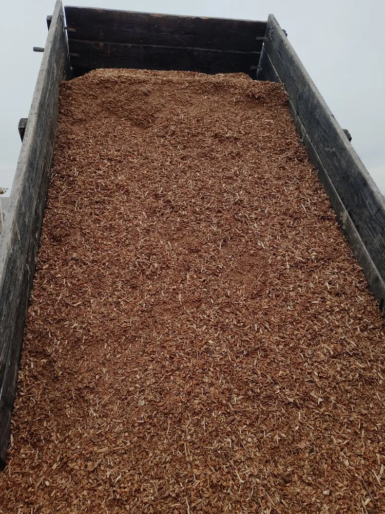 Trusted lawn care service for residential properties in Albuquerque, NM by Robertson Lawn Care & Property Maintenance