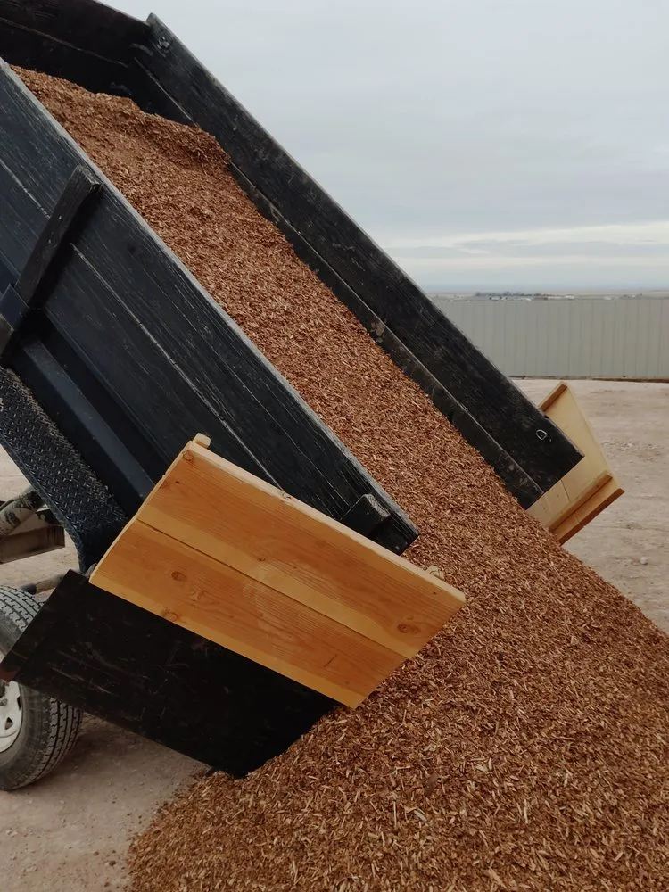 Top-rated lawn care service for beautiful yards across Albuquerque, NM - Robertson Lawn Care & Property Maintenance