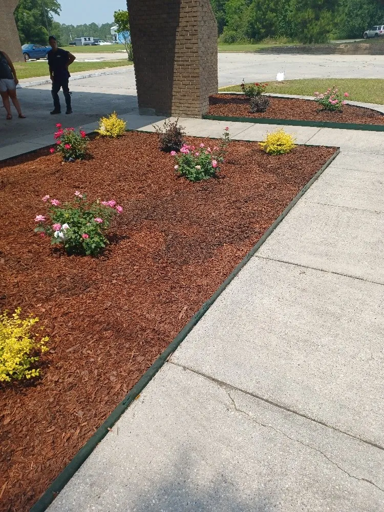 Affordable landscape design in Ocean Springs, MS - Robertson Lawn Care