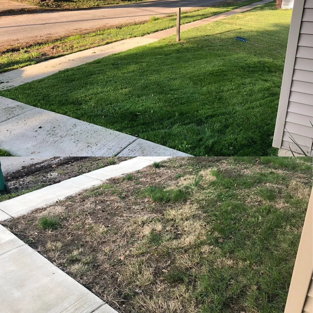 Professional yard cleanup service in Springfield, IL - Robertson Lawn Care