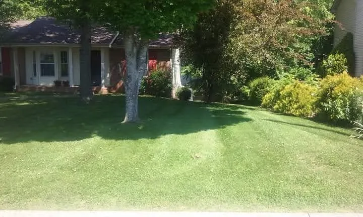 Local garden landscaping experts serving Clarksville, TN - Robertson Lawns and Renovations