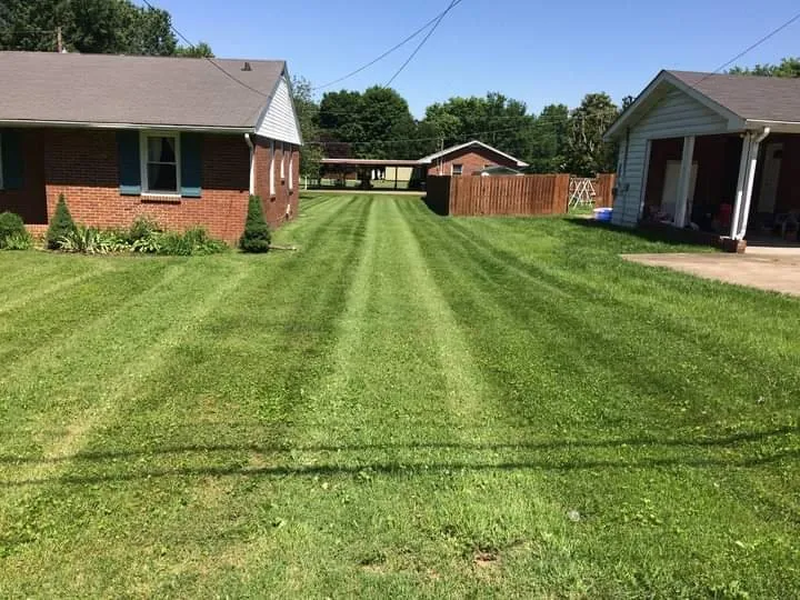 Top-rated landscape design in Clarksville, TN - Robertson Lawns and Renovations