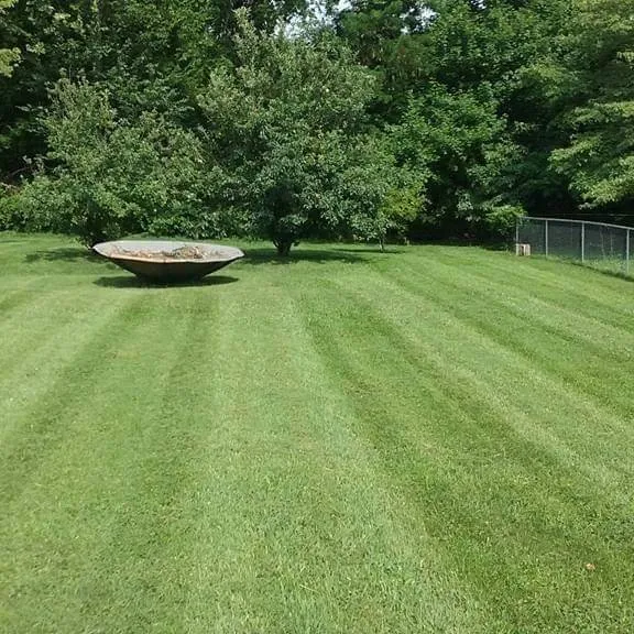 Top-rated lawn mowing service experts serving Clarksville, TN - Robertson Lawns and Renovations