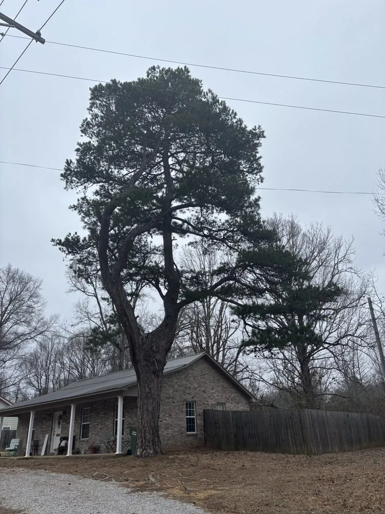 Top-rated outdoor landscaping in New Albany, MS - Robertson’s Lawn & Landscaping