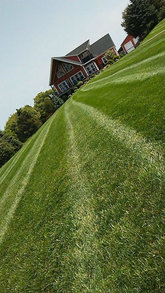 Expert outdoor landscaping experts serving Lynchburg, VA - Robertson's Property Solutions