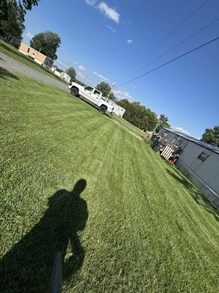 Affordable landscaping services for year-round maintenance in Lynchburg, VA by Robertson's Property Solutions