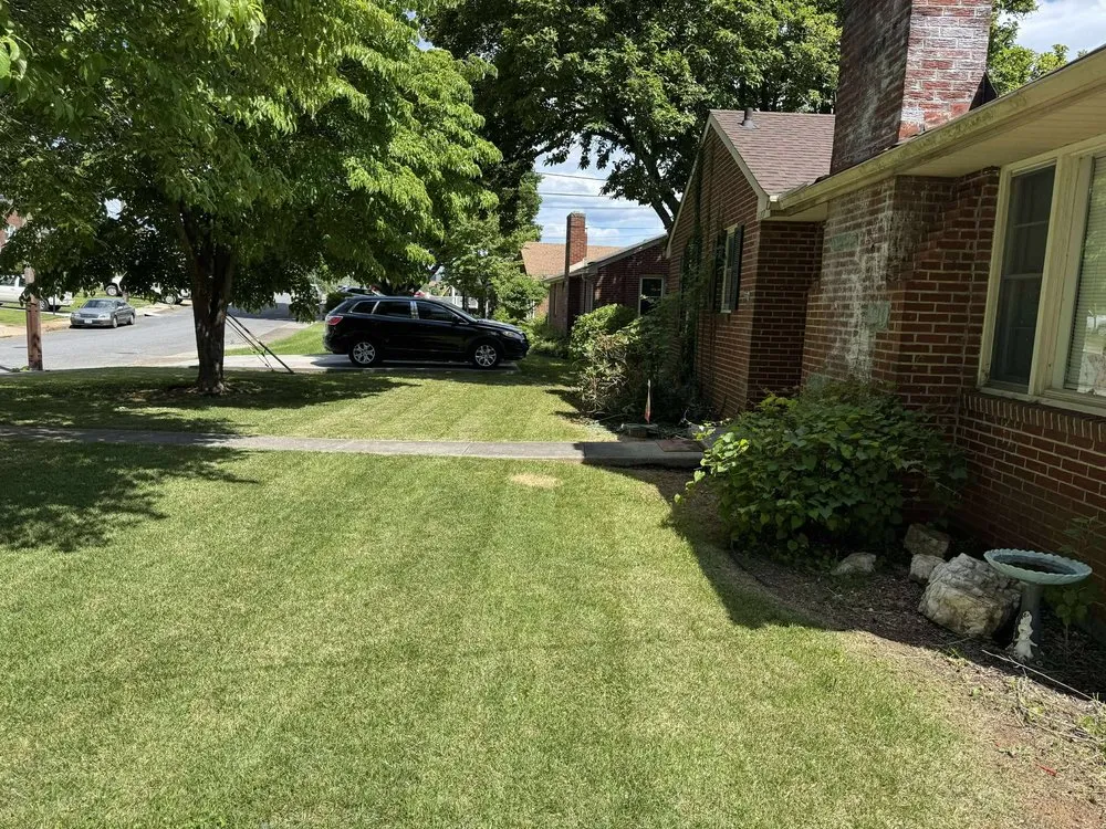 Top-rated landscape design near you across Lynchburg, VA - Robertson's Property Solutions