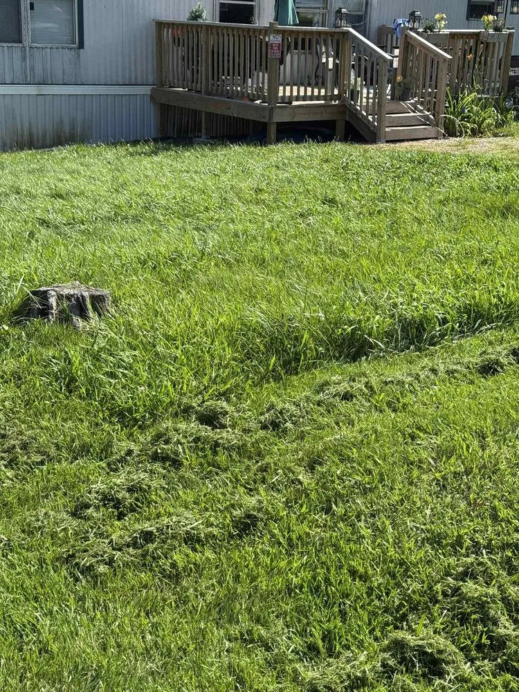 Custom landscaping services in Lynchburg, VA by Robertson's Property Solutions