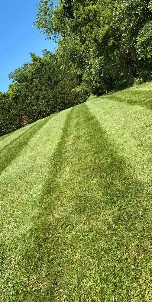 Custom landscape installation for year-round maintenance across Lynchburg, VA - Robertson's Property Solutions