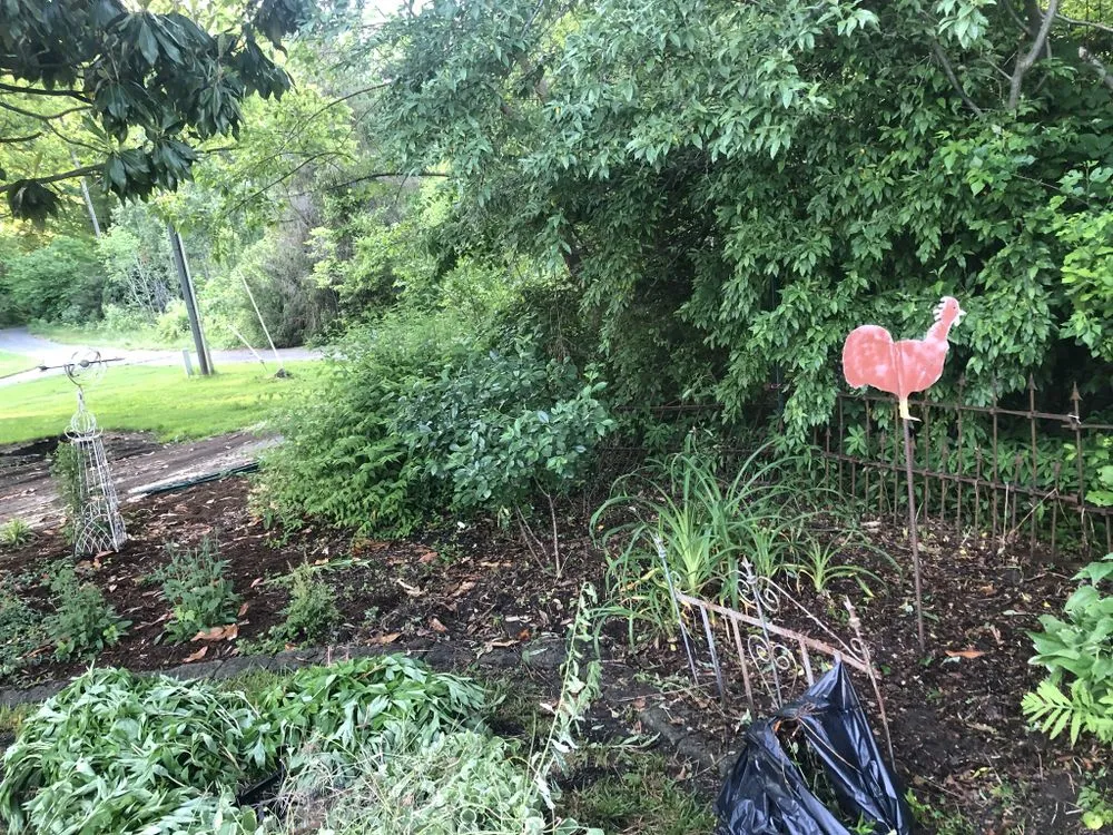 Top-rated yard cleanup service in King George, VA - Robey’s landscaping and pressure washing