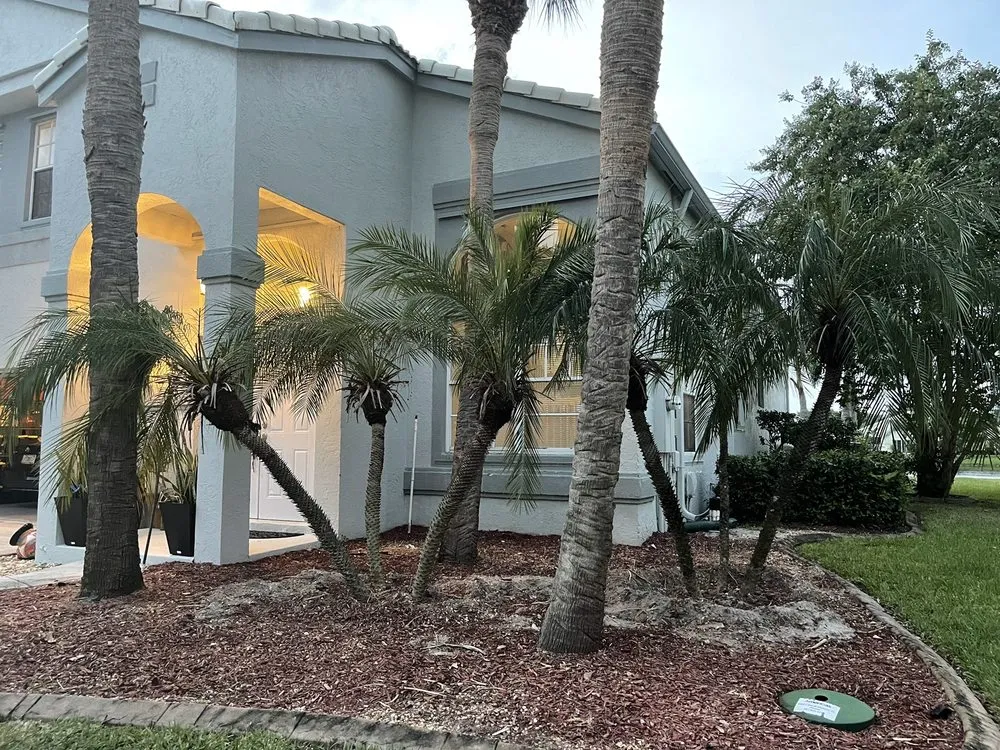 Expert lawn care service experts serving West Palm Beach, FL - Robies Landscaping & Lawn Service