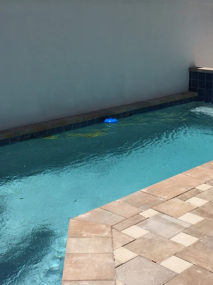 Expert yard maintenance in Boca Raton, FL by Robin Lawn Care