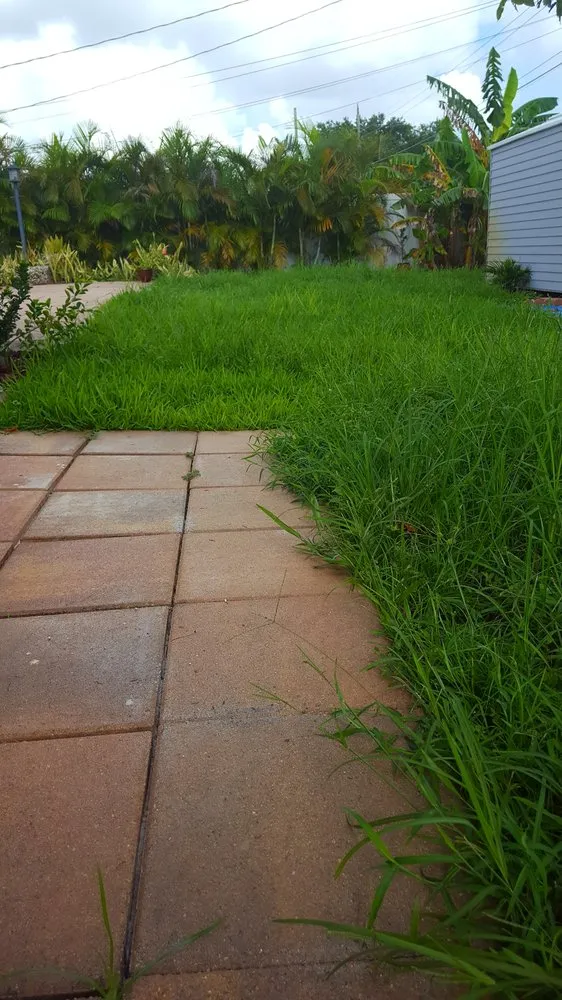 Expert garden landscaping experts serving Boca Raton, FL - Robin Lawn Care