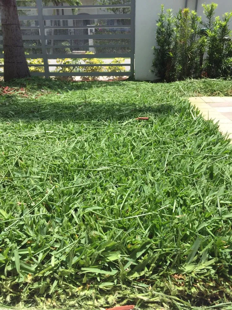 Reliable garden landscaping in Boca Raton, FL - Robin Lawn Care