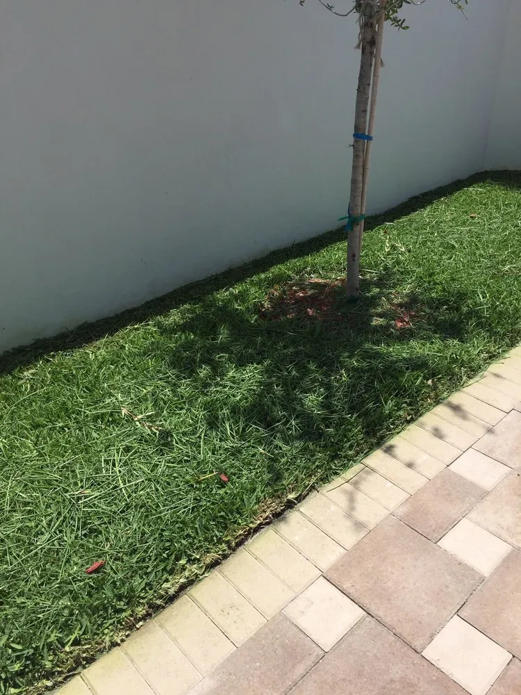 Trusted lawn mowing service for year-round maintenance across Boca Raton, FL - Robin Lawn Care