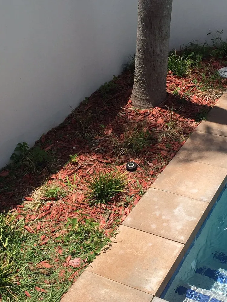 Local lawn care service experts serving Boca Raton, FL - Robin Lawn Care