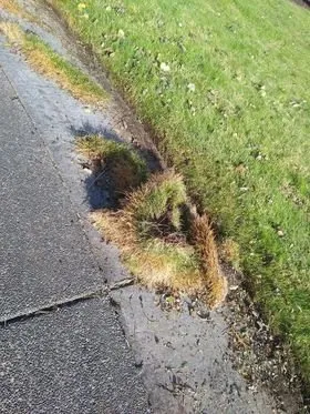 Reliable garden landscaping in Yelm, WA by Robinhood Landscape Movers