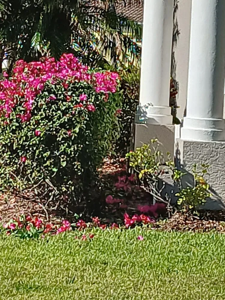 Trusted landscape installation in North Port, FL by Robins Landscape Services