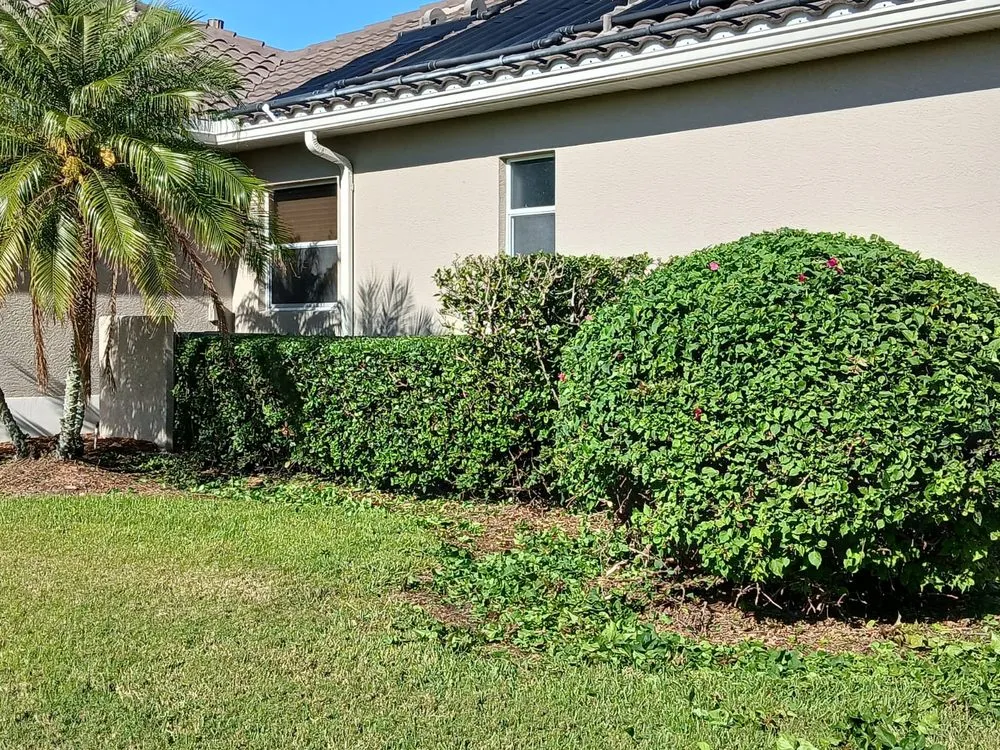 Custom landscape installation for residential properties in North Port, FL by Robins Landscape Services