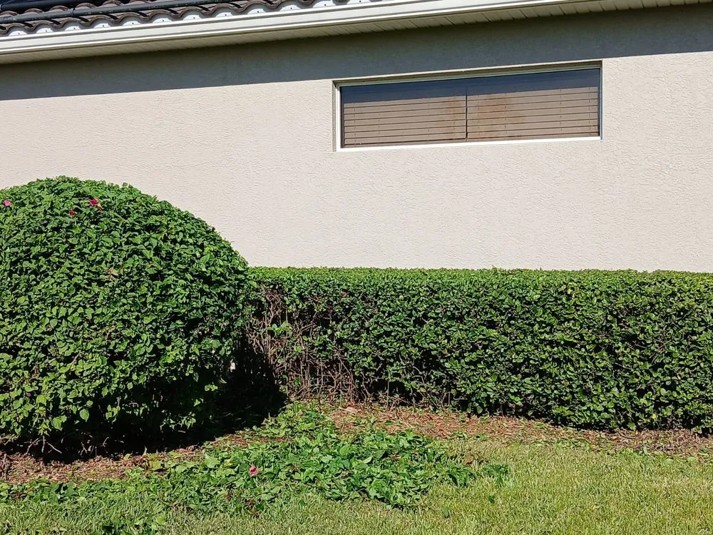 Affordable landscape installation experts serving North Port, FL - Robins Landscape Services