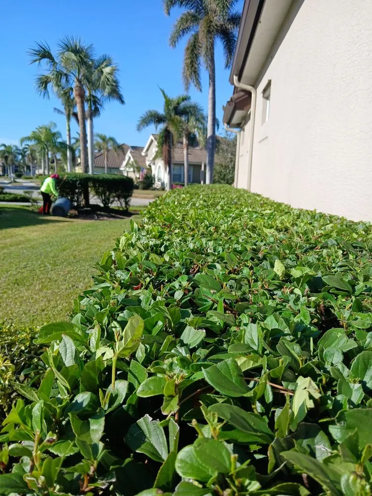 Affordable yard maintenance in North Port, FL - Robins Landscape Services