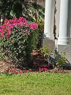 Robins Landscape Services Logo