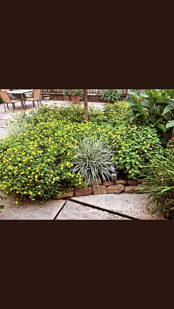 Custom residential landscaping in Lafayette, LA by Robin's Landscaping & Irrigation