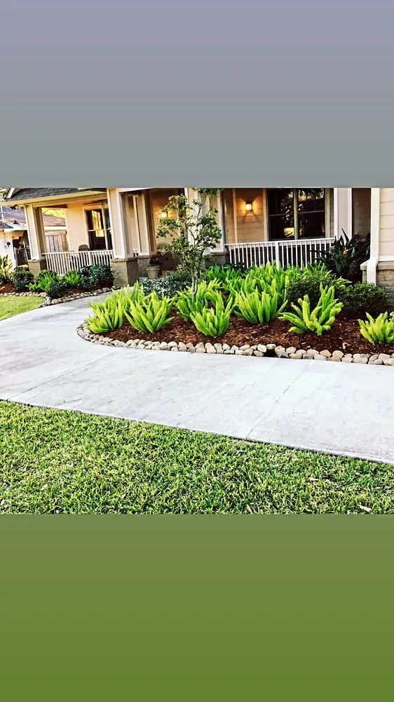 Top-rated residential landscaping in Lafayette, LA - Robin's Landscaping & Irrigation