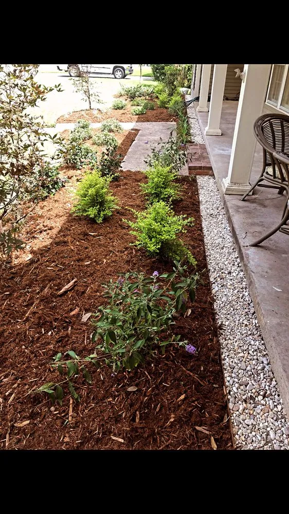 Reliable landscaping services for beautiful yards across Lafayette, LA - Robin's Landscaping & Irrigation