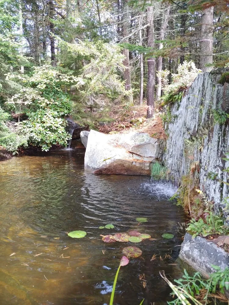 Local yard maintenance experts serving Hollis Center, ME - Robin's Nest