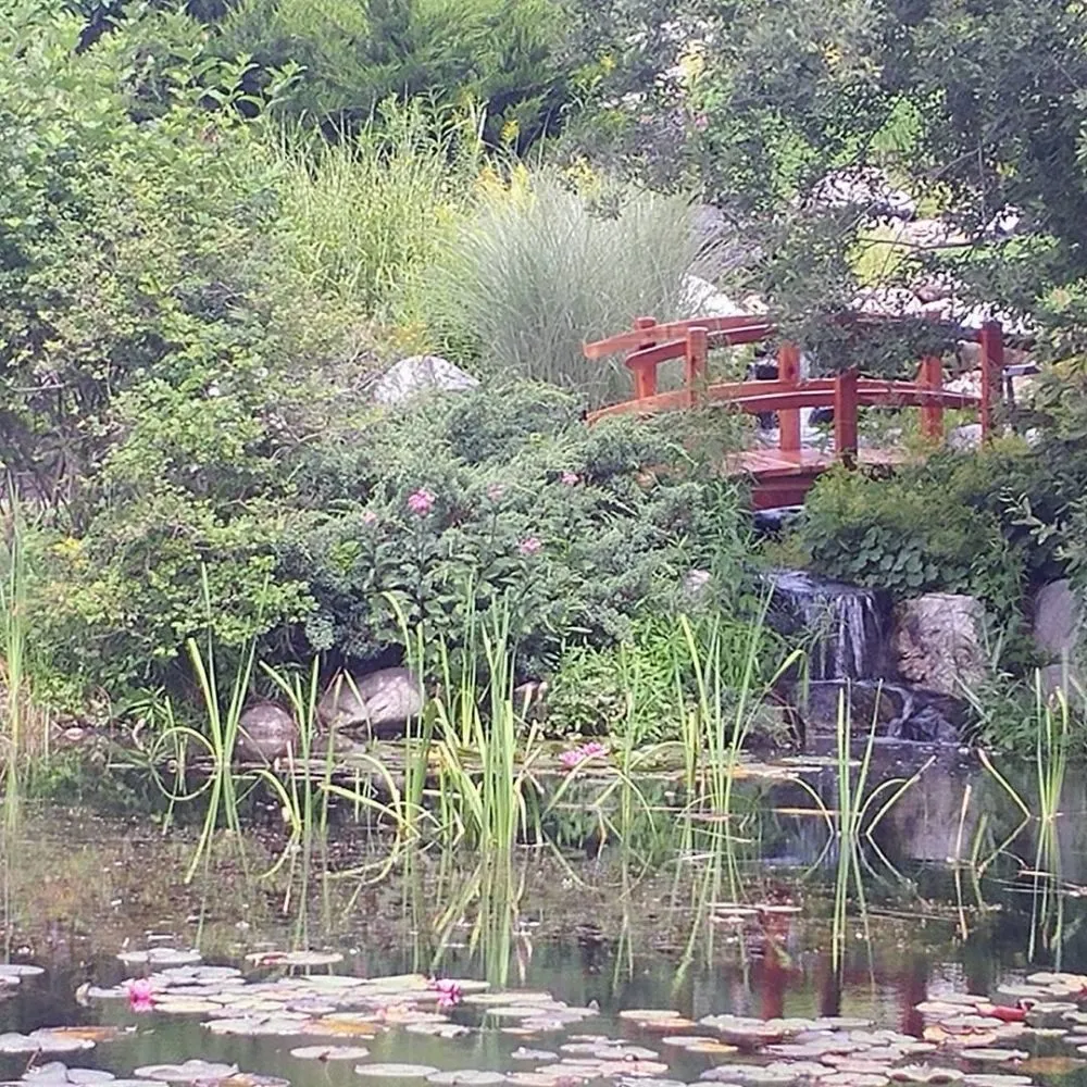 Reliable residential landscaping for residential properties in Hollis Center, ME by Robin's Nest