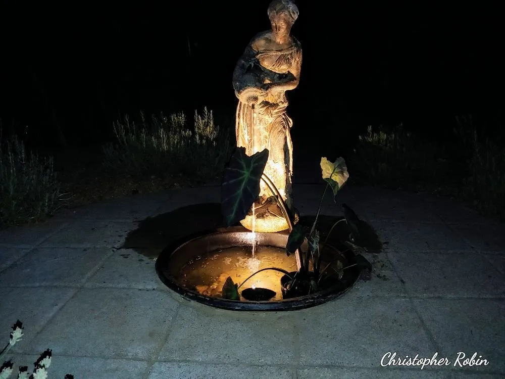 Top-rated yard cleanup service for year-round maintenance across Hollis Center, ME - Robin's Nest