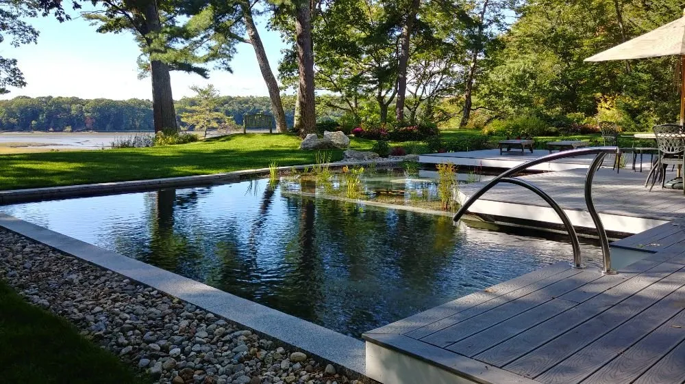 Expert yard cleanup service in Hollis Center, ME by Robin's Nest