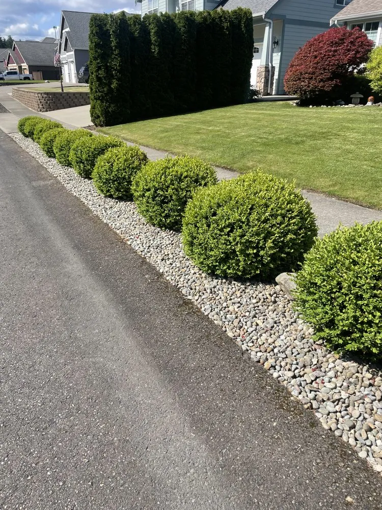 Trusted landscape design experts serving Olympia, WA - Robinson and Son