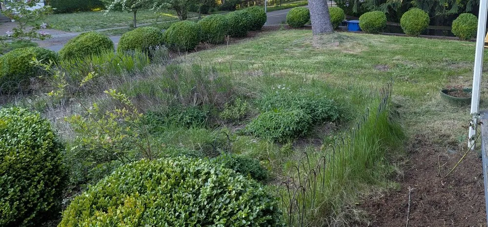 Custom garden landscaping near you in Olympia, WA by Robinson and Son