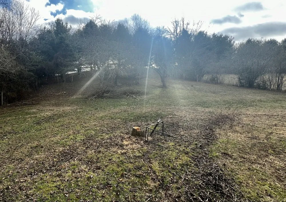 Professional landscape installation experts serving Bristol, TN - Robinson Hauling Solutions