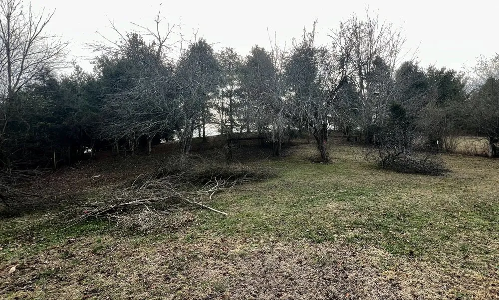 Professional landscape design near you in Bristol, TN by Robinson Hauling Solutions