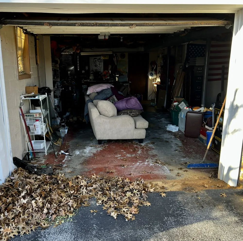 Professional yard maintenance in Bristol, TN by Robinson Hauling Solutions