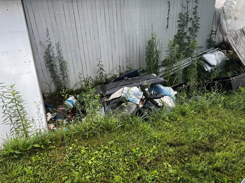 Professional yard cleanup service near you in Bristol, TN by Robinson Hauling Solutions