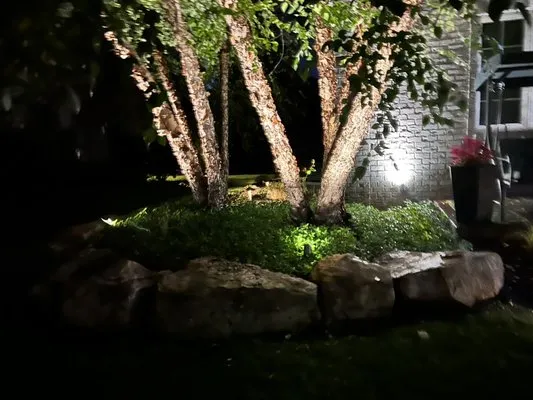 Robinson Landscape Solutions