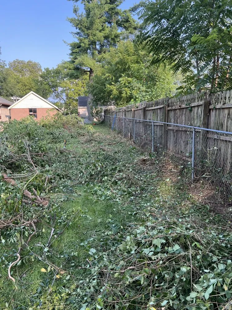 Top-rated yard maintenance for year-round maintenance in Hustontown, PA by Robinson Landscaping