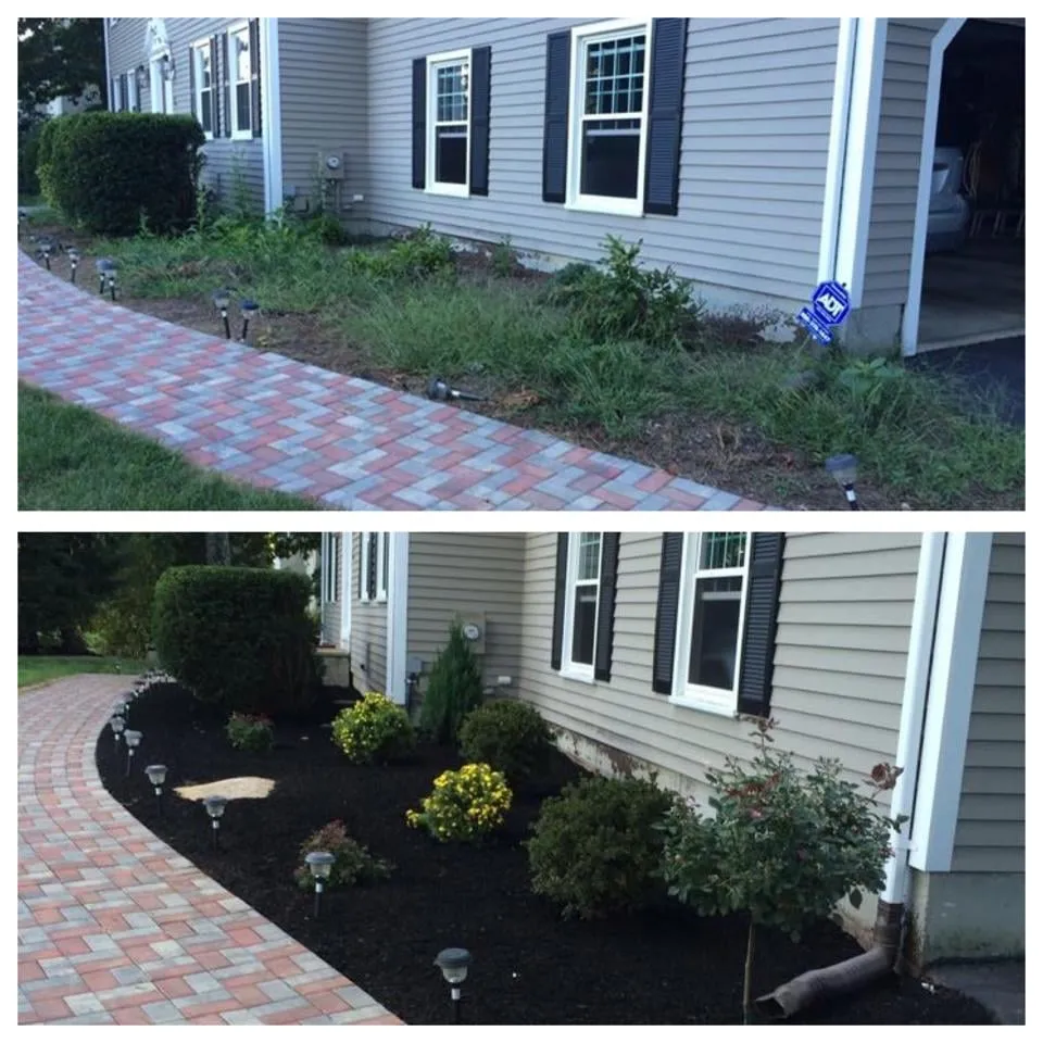 Expert yard cleanup service experts serving MEDWAY, MA - Robinson Landscaping