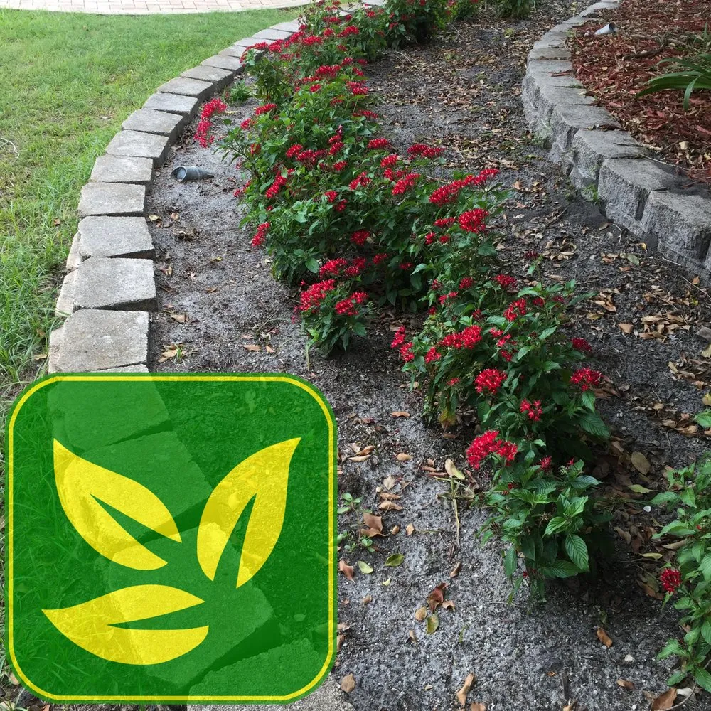 Professional yard cleanup service in Macclenny, FL by Robinson Lawn & Landscape Company