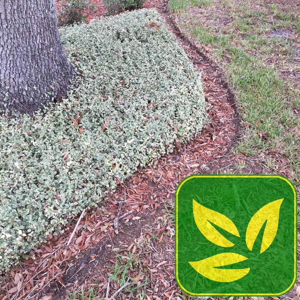 Custom landscape design experts serving Macclenny, FL - Robinson Lawn & Landscape Company