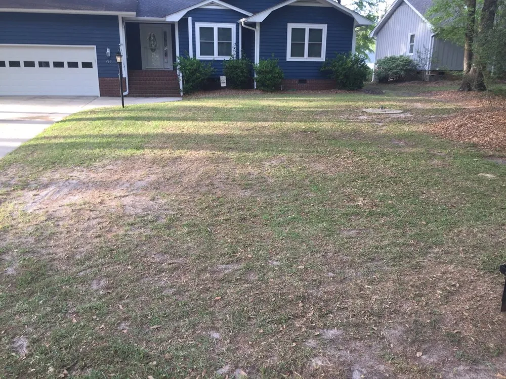 Custom yard cleanup service for year-round maintenance across Supply, NC - Robinson Lawn Care & Landscaping