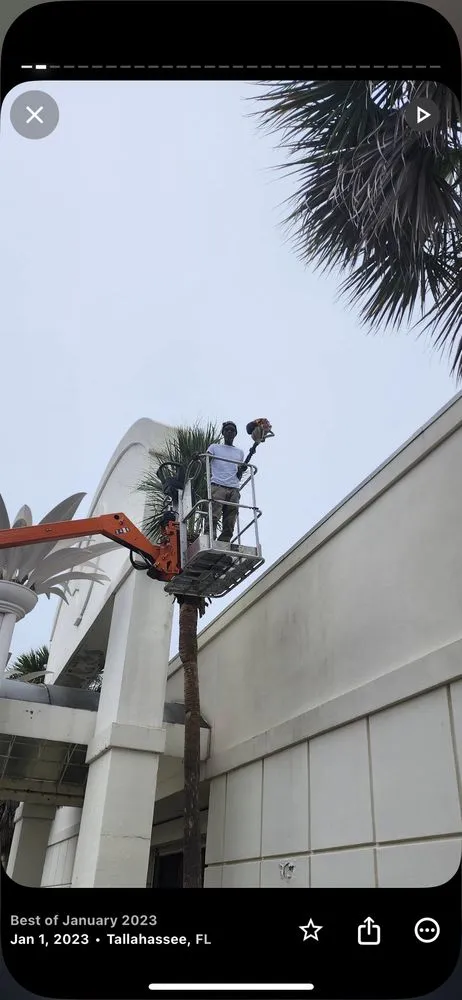 Custom landscape design in Tallahassee, FL by Robinson Lawn Care Solutions