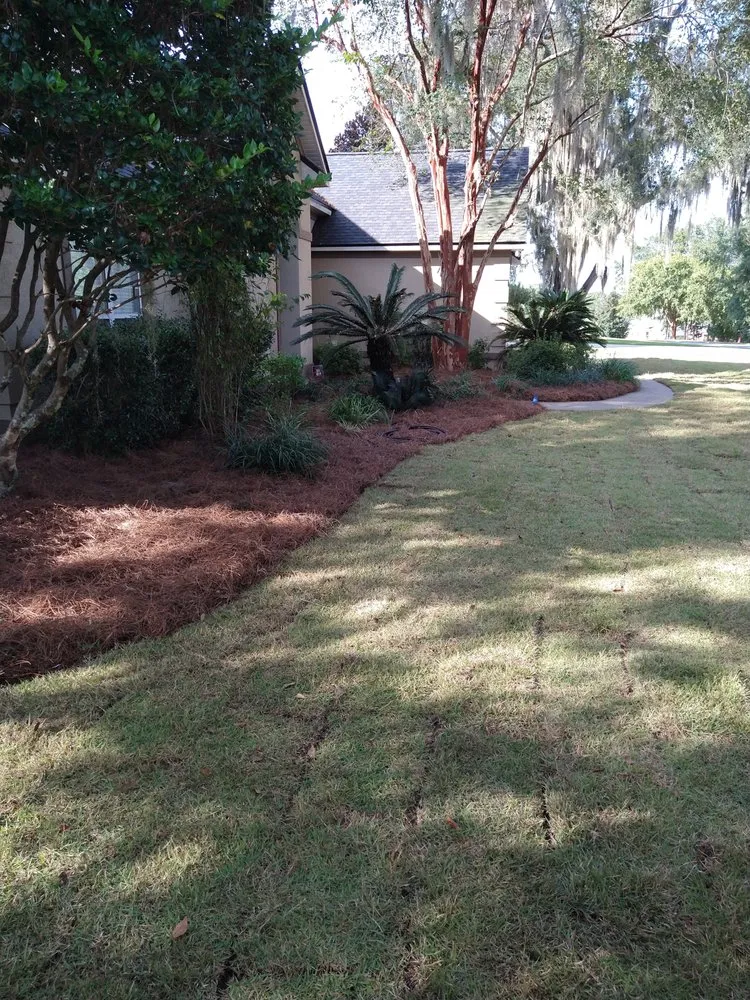 Professional lawn care service for outdoor upgrades across Tallahassee, FL - Robinson Lawn Care Solutions