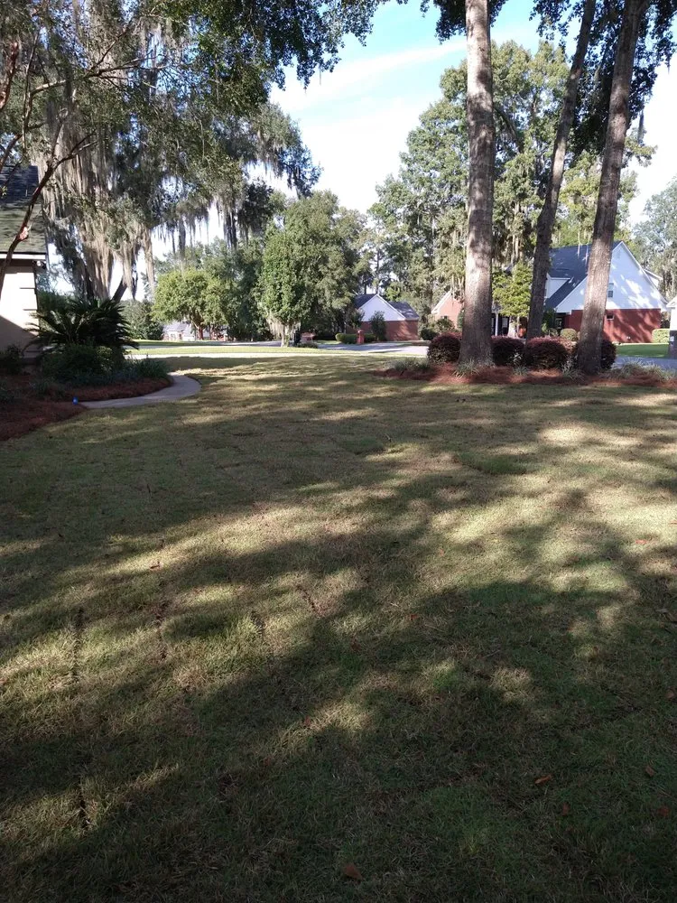 Affordable landscaping services for outdoor upgrades in Tallahassee, FL by Robinson Lawn Care Solutions